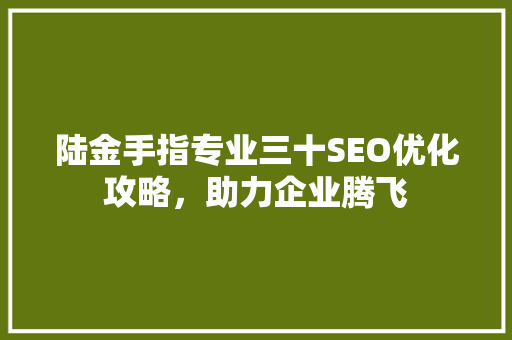 陆金手指专业三十SEO优化攻略，助力企业腾飞