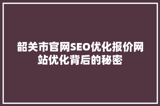 韶关市官网SEO优化报价网站优化背后的秘密