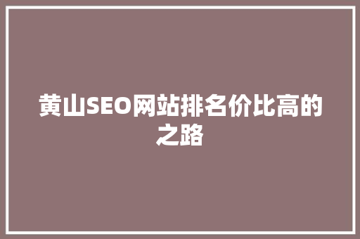 黄山SEO网站排名价比高的之路