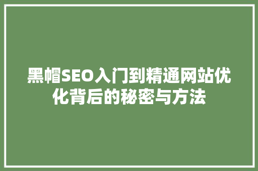 黑帽SEO入门到精通网站优化背后的秘密与方法