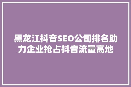 黑龙江抖音SEO公司排名助力企业抢占抖音流量高地