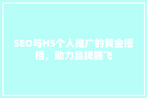 SEO与H5个人推广的黄金搭档，助力品牌腾飞  第1张