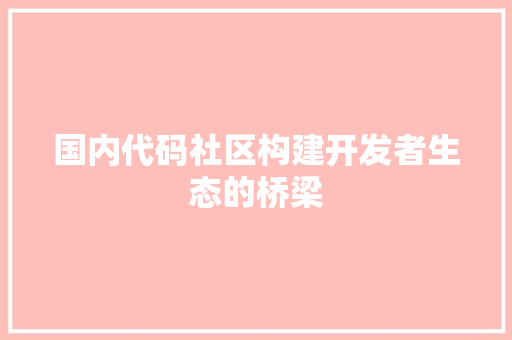国内代码社区构建开发者生态的桥梁