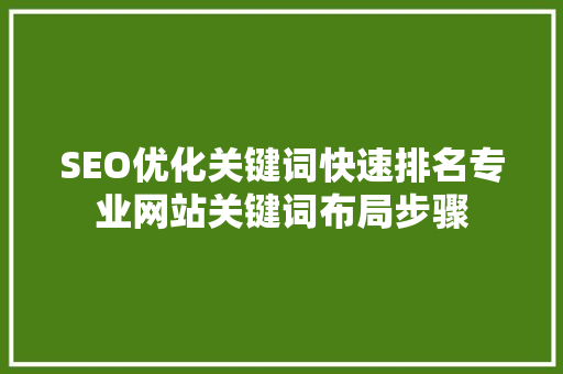 SEO优化关键词快速排名专业网站关键词布局步骤