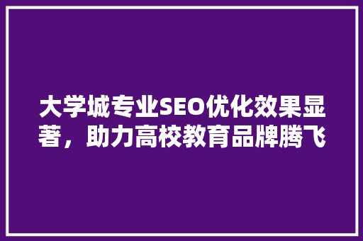 大学城专业SEO优化效果显著，助力高校教育品牌腾飞