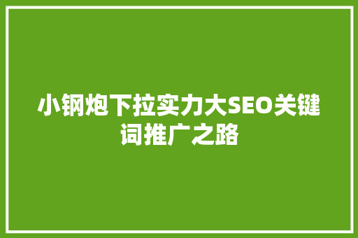 小钢炮下拉实力大SEO关键词推广之路
