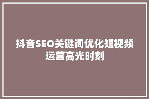 抖音SEO关键词优化短视频运营高光时刻