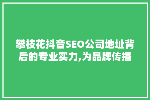 攀枝花抖音SEO公司地址背后的专业实力,为品牌传播保驾护航