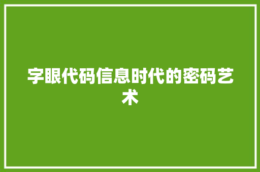 字眼代码信息时代的密码艺术
