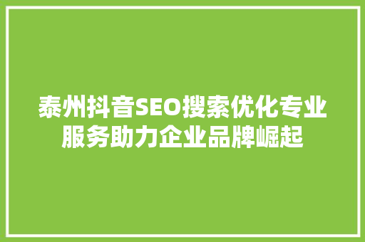 泰州抖音SEO搜索优化专业服务助力企业品牌崛起