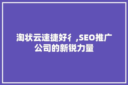 淘状云速捷好彳,SEO推广公司的新锐力量