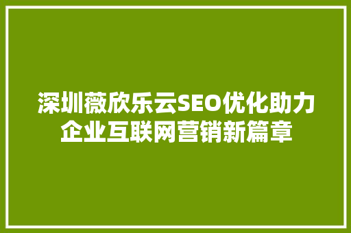 深圳薇欣乐云SEO优化助力企业互联网营销新篇章