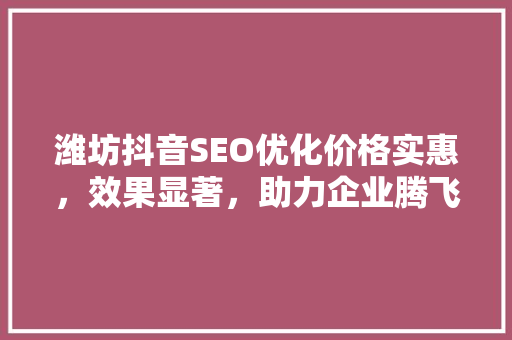 潍坊抖音SEO优化价格实惠，效果显著，助力企业腾飞  第1张