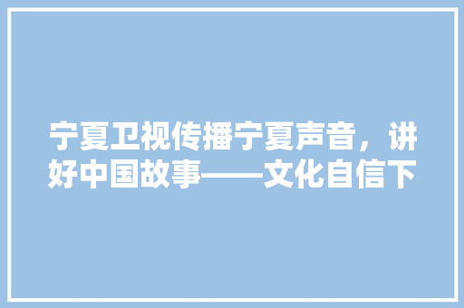 宁夏卫视传播宁夏声音，讲好中国故事——文化自信下的媒体担当
