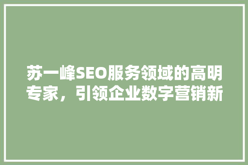 苏一峰SEO服务领域的高明专家，引领企业数字营销新潮流