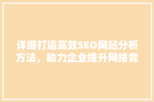 详细打造高效SEO网站分析方法，助力企业提升网络竞争力  第1张