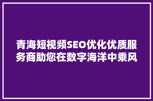 青海短视频SEO优化优质服务商助您在数字海洋中乘风破浪
