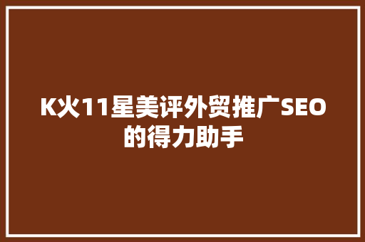 K火11星美评外贸推广SEO的得力助手