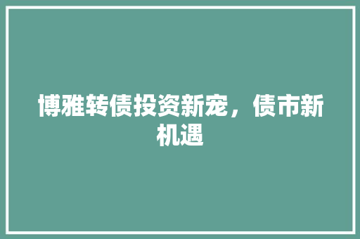 博雅转债投资新宠，债市新机遇