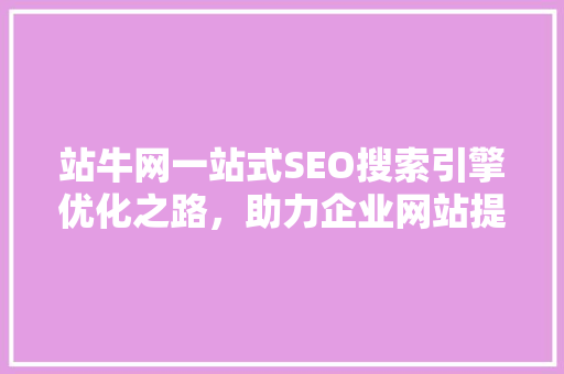 站牛网一站式SEO搜索引擎优化之路，助力企业网站提升流量与排名