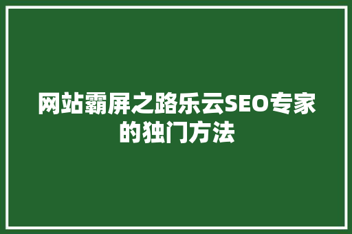 网站霸屏之路乐云SEO专家的独门方法