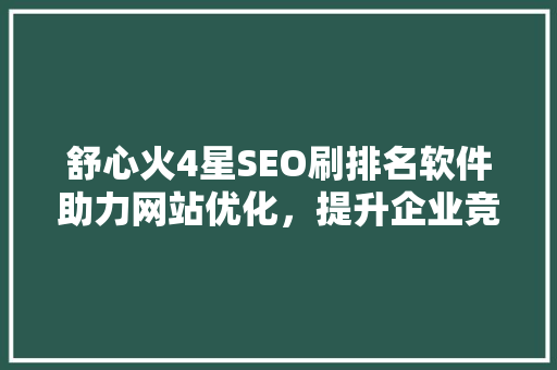 舒心火4星SEO刷排名软件助力网站优化，提升企业竞争力