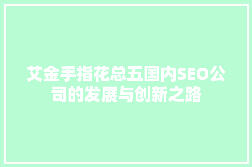 艾金手指花总五国内SEO公司的发展与创新之路