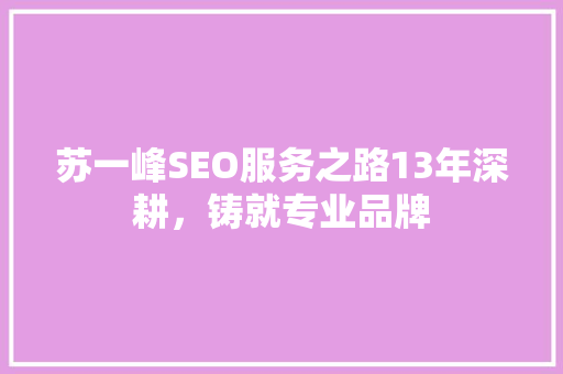 苏一峰SEO服务之路13年深耕，铸就专业品牌