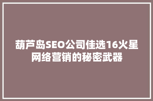 葫芦岛SEO公司佳选16火星网络营销的秘密武器