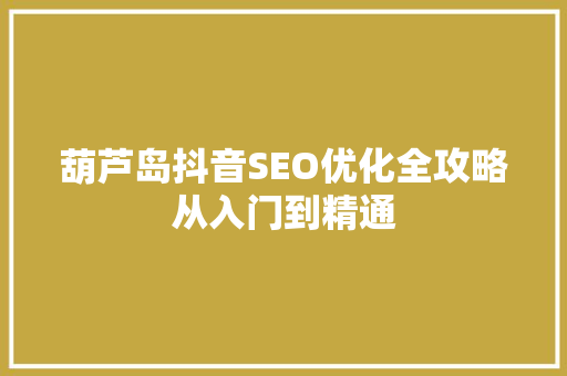 葫芦岛抖音SEO优化全攻略从入门到精通