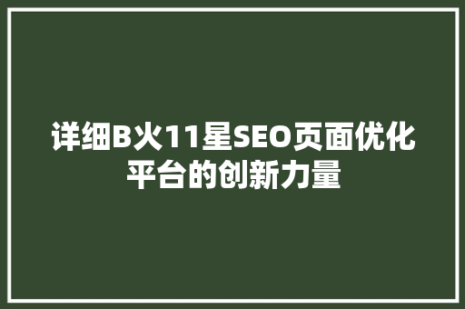 详细B火11星SEO页面优化平台的创新力量