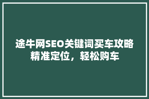 途牛网SEO关键词买车攻略精准定位，轻松购车