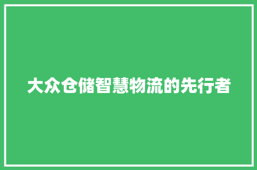 大众仓储智慧物流的先行者
