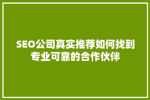 SEO公司真实推荐如何找到专业可靠的合作伙伴