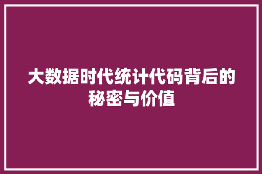 大数据时代统计代码背后的秘密与价值