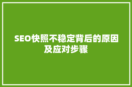 SEO快照不稳定背后的原因及应对步骤