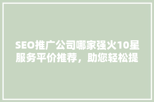 SEO推广公司哪家强火10星服务平价推荐，助您轻松提升网站排名