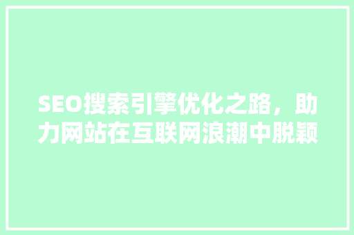 SEO搜索引擎优化之路，助力网站在互联网浪潮中脱颖而出