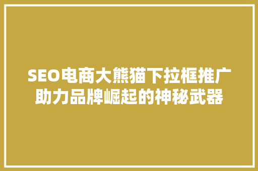 SEO电商大熊猫下拉框推广助力品牌崛起的神秘武器