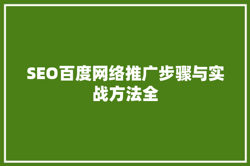 SEO百度网络推广步骤与实战方法全