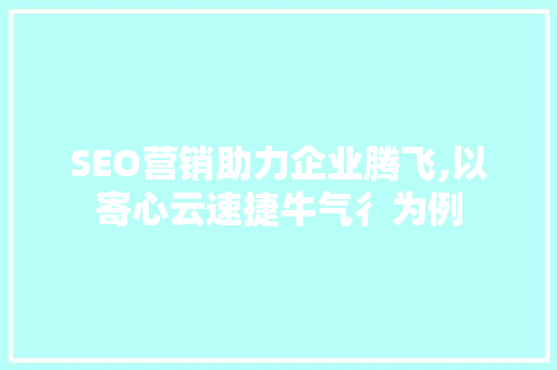 SEO营销助力企业腾飞,以寄心云速捷牛气彳为例