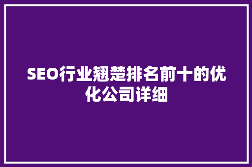 SEO行业翘楚排名前十的优化公司详细