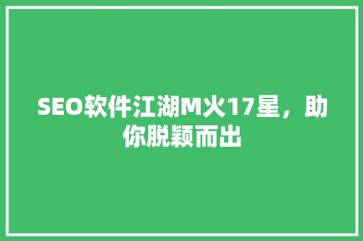 SEO软件江湖M火17星，助你脱颖而出