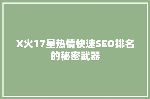 X火17星热情快速SEO排名的秘密武器