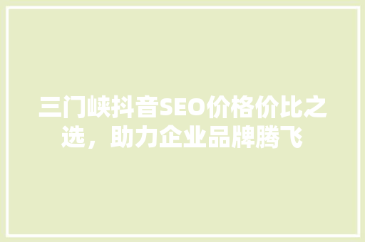三门峡抖音SEO价格价比之选，助力企业品牌腾飞