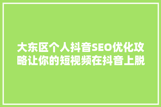 大东区个人抖音SEO优化攻略让你的短视频在抖音上脱颖而出