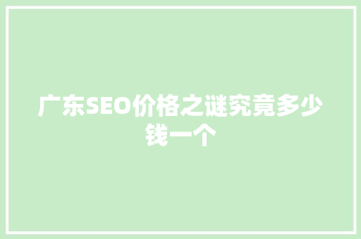 广东SEO价格之谜究竟多少钱一个