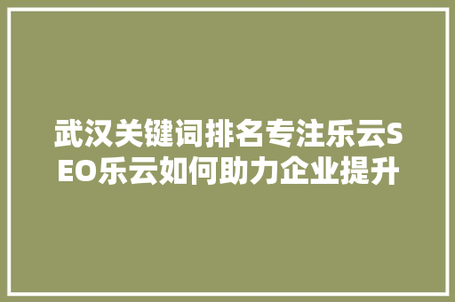 武汉关键词排名专注乐云SEO乐云如何助力企业提升网络竞争力
