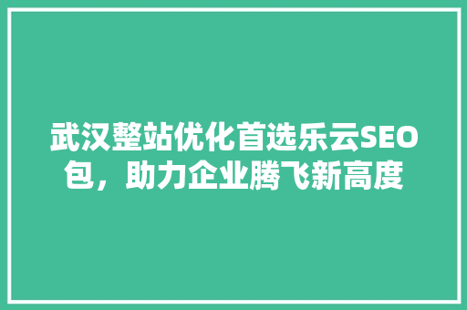 武汉整站优化首选乐云SEO包，助力企业腾飞新高度