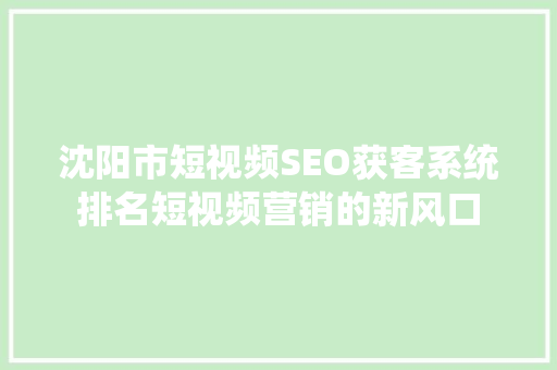 沈阳市短视频SEO获客系统排名短视频营销的新风口